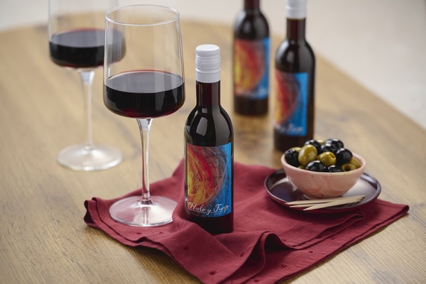 Hielo y Fuego Merlot