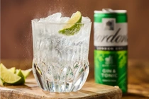 Gordons Gin & Tonic
