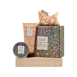 Morris At Home Paws & Palms Essentials Kit