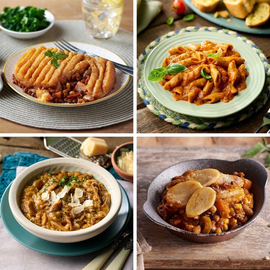 Vegetarian Meal Selection