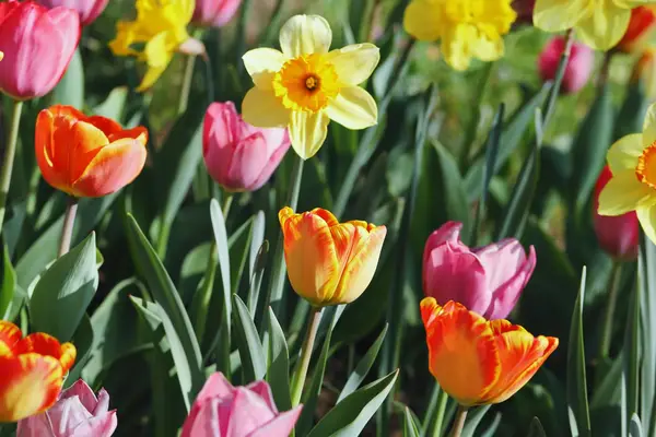 Spring Blog Header
